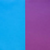 Purple/Blue